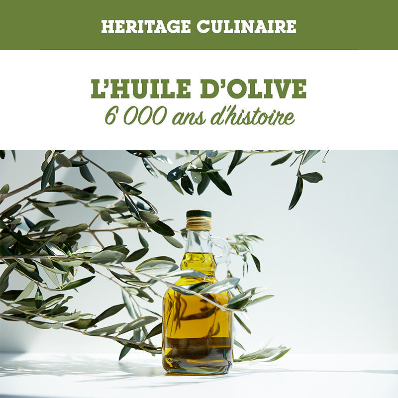 Olive Oil: Lebanon’s Liquid Gold, a 6,000 years of history