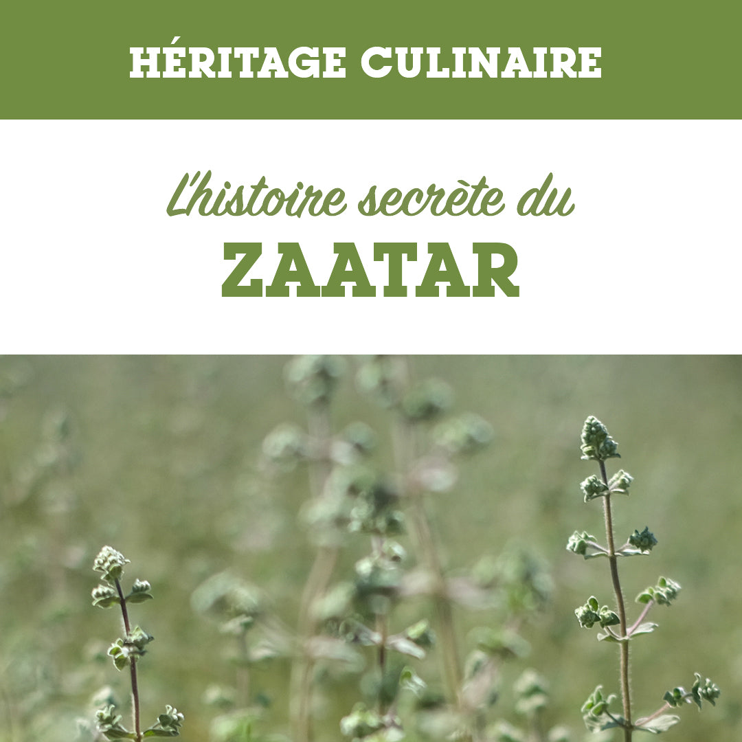 Zaatar, the soul of Levantine cuisine
